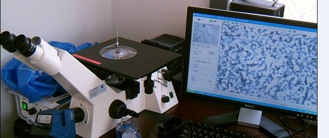 金属材料成分分析测试