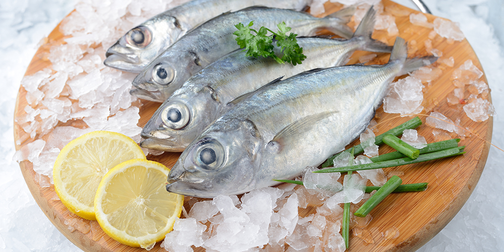 竹莢魚