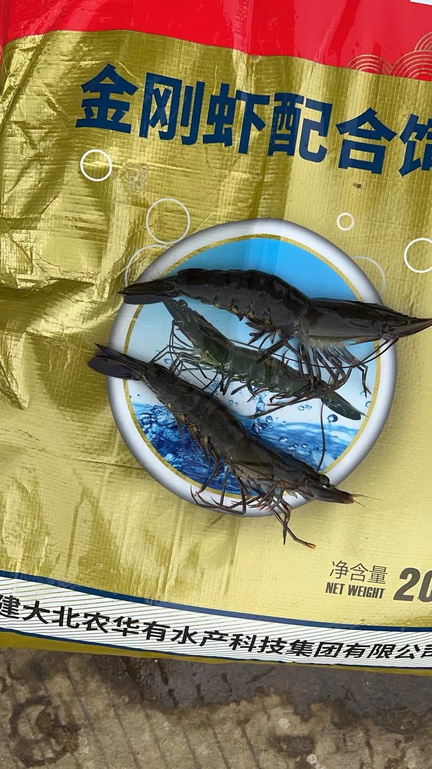 金刚虾