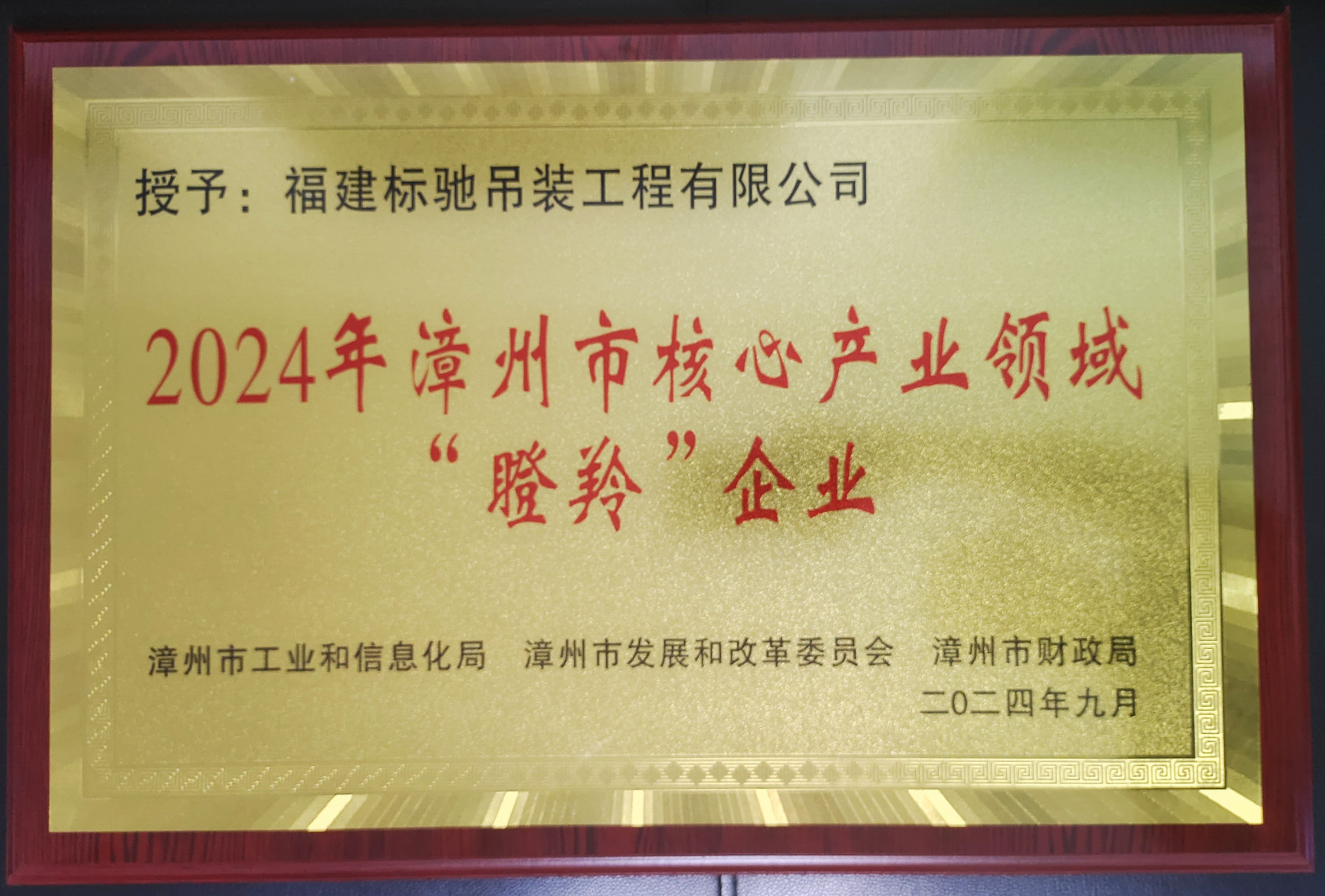 2024年漳州市核心产业领域瞪羚企业
