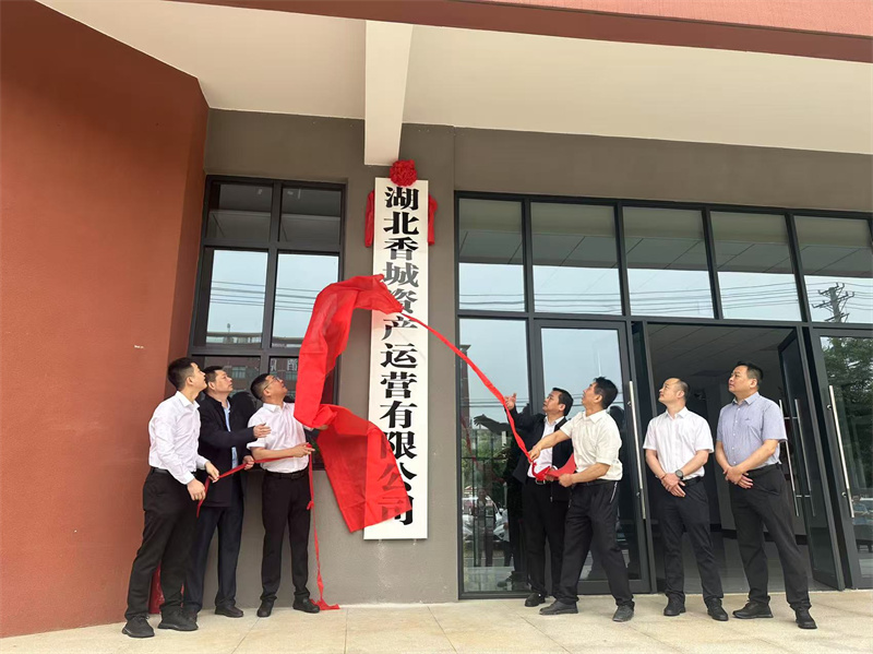 正式揭牌！助力咸安高质量发展迈入新阶段