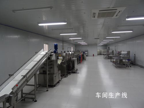 车间生产线