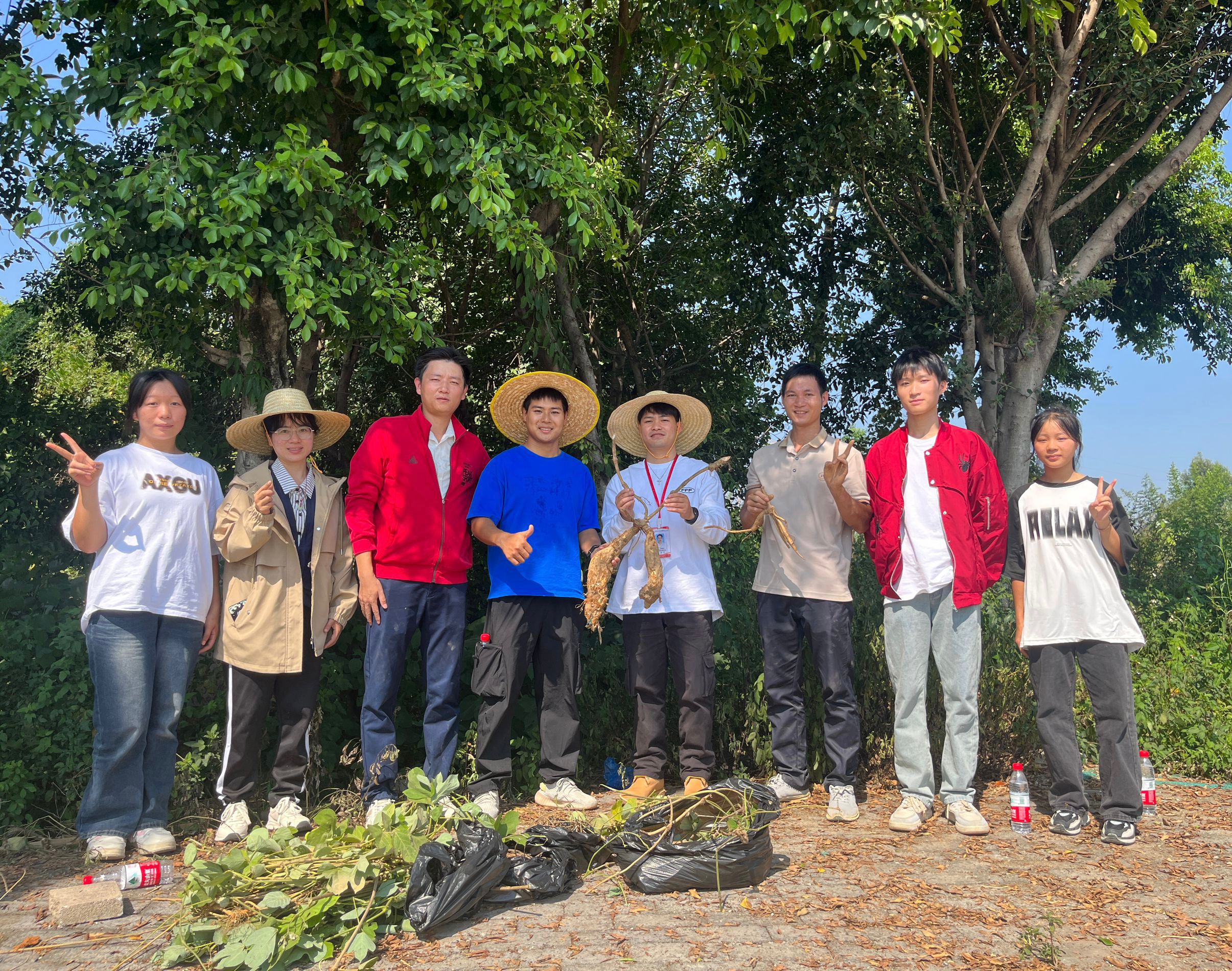 我校"药用植物园"建设已具雏形