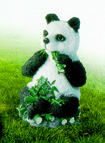 草坪灯