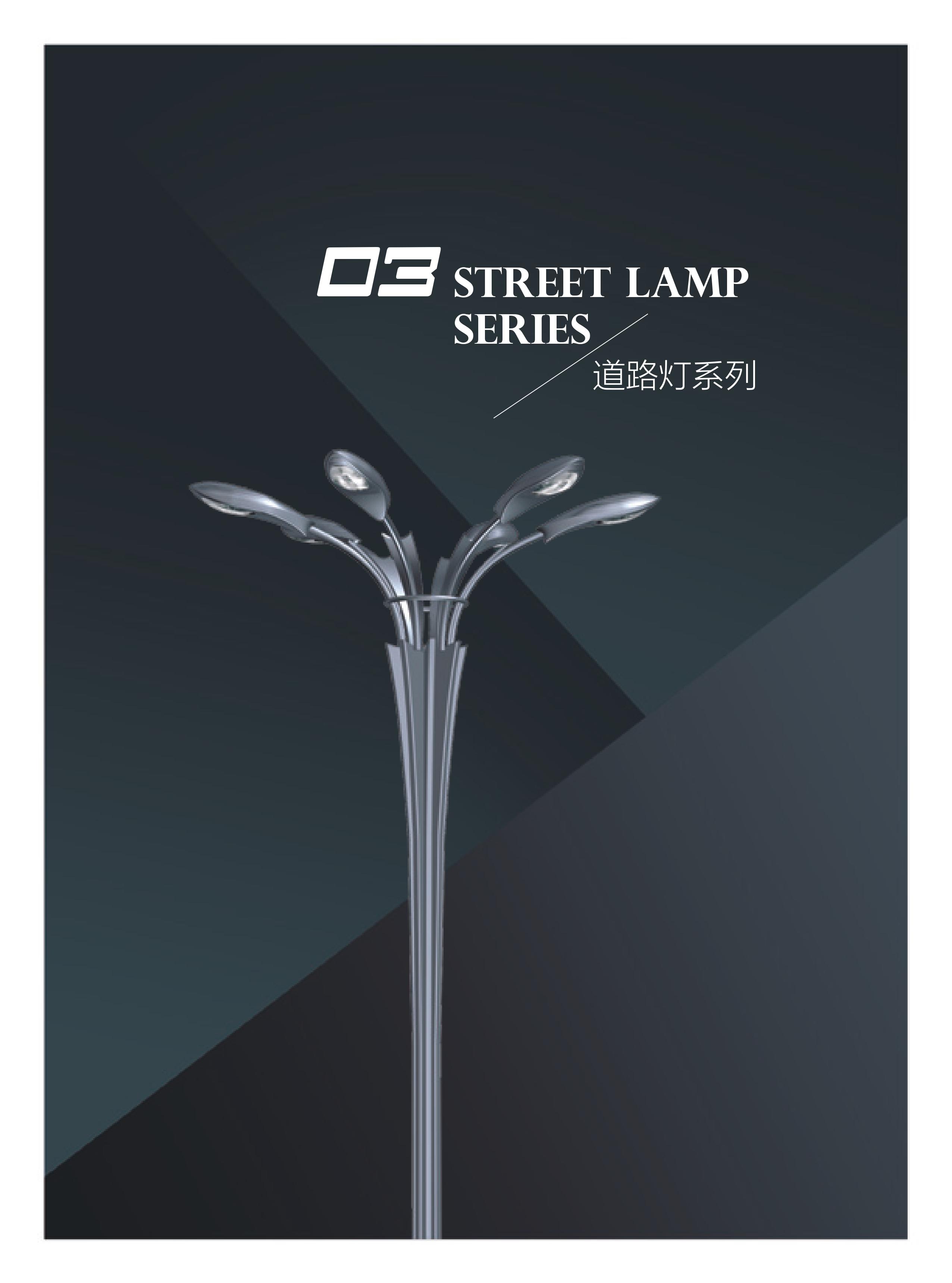 道路灯-00