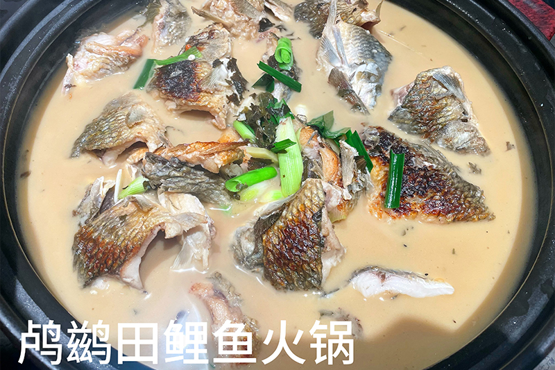 鸬鹚田鲤鱼火锅158