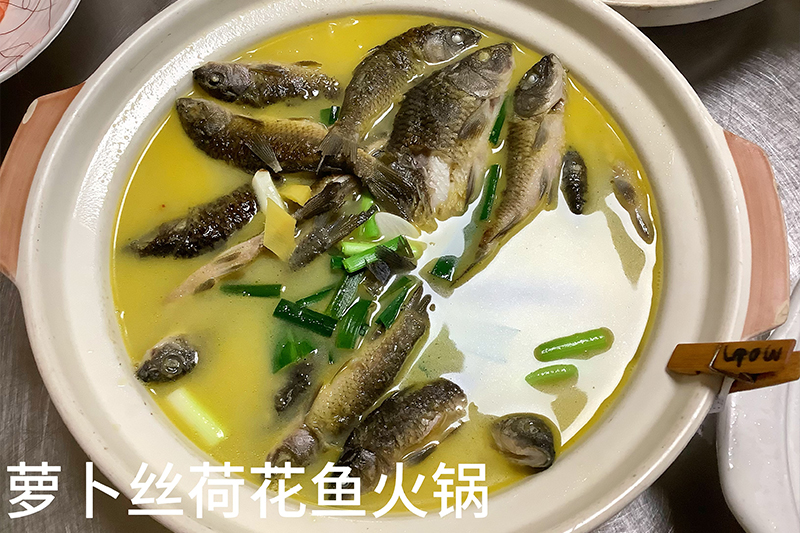 萝卜丝荷花鱼火锅128