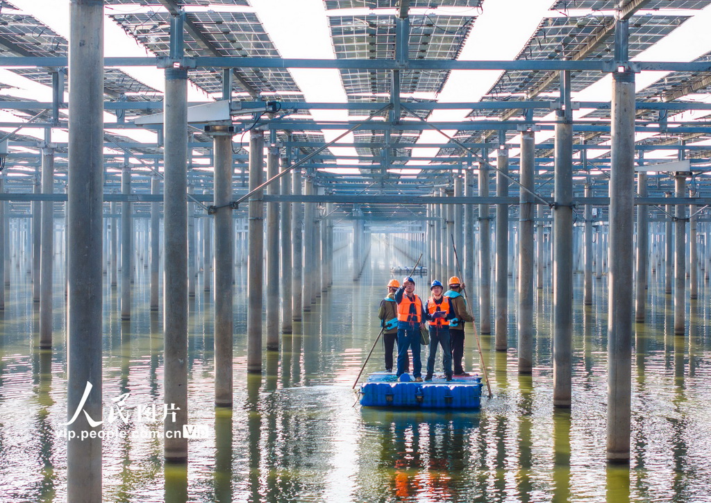 安徽无为：巡检光伏发电设施 护航绿色能源安全
