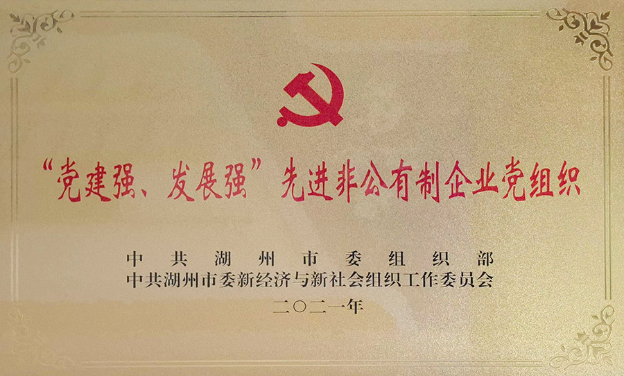 党建强、发展强先进非公有制企业党组织