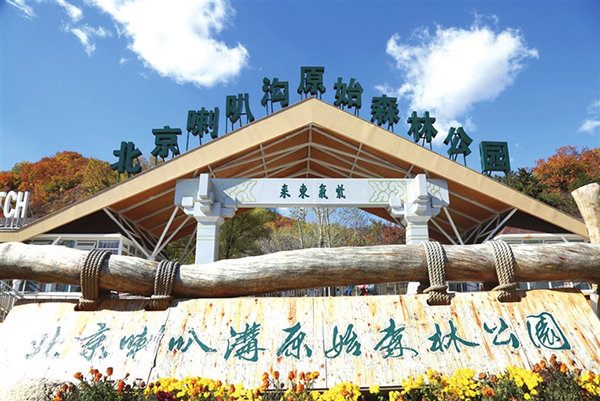 【秋季喇叭沟门 漫步红叶林】景区定向团建