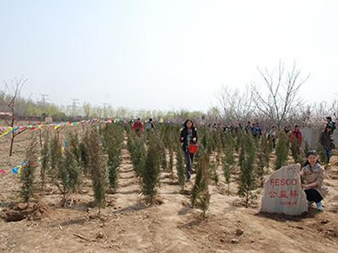 怀柔桥梓林场植树基地