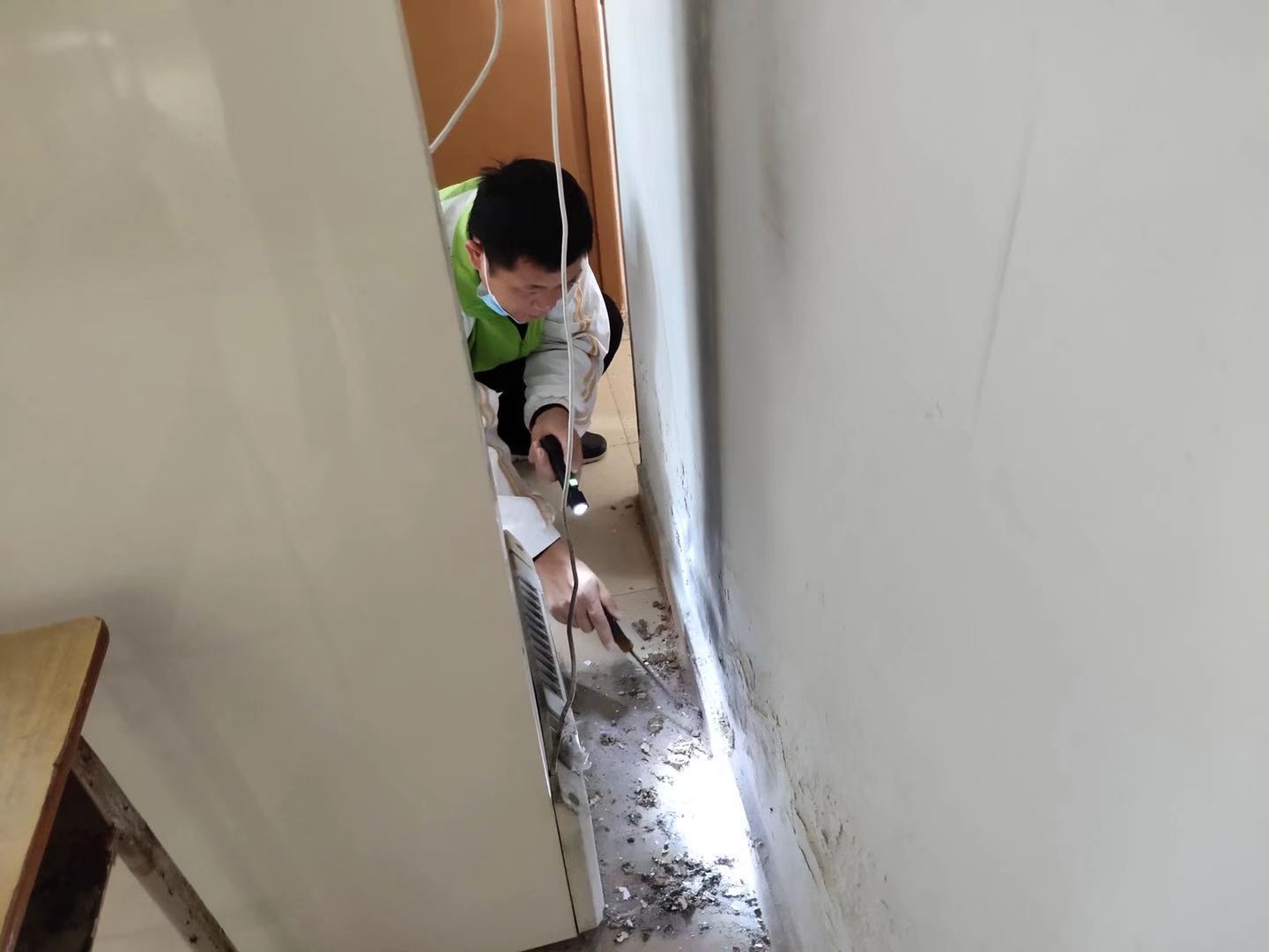 图为 校园绿化勘察