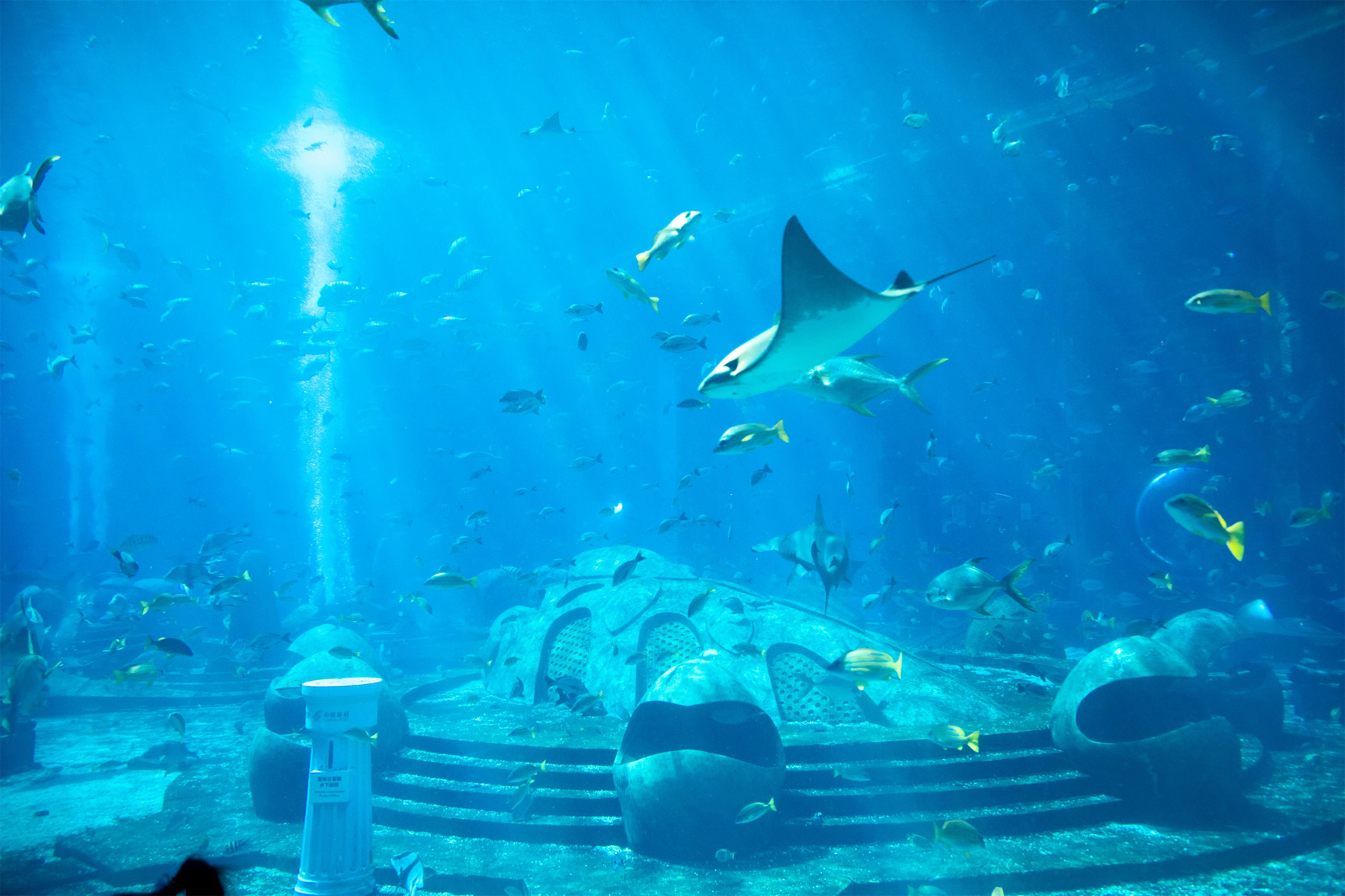 亚特兰蒂斯海底世界