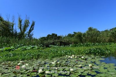 茌平金牛湖景区