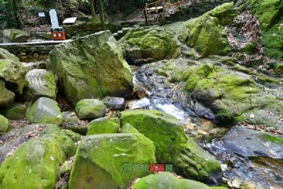 黎坪国家级森林公园