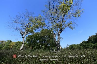 兰山山地生态公园