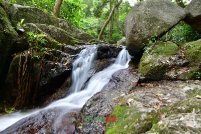 周祖陵景区（周祖陵森林公园）
