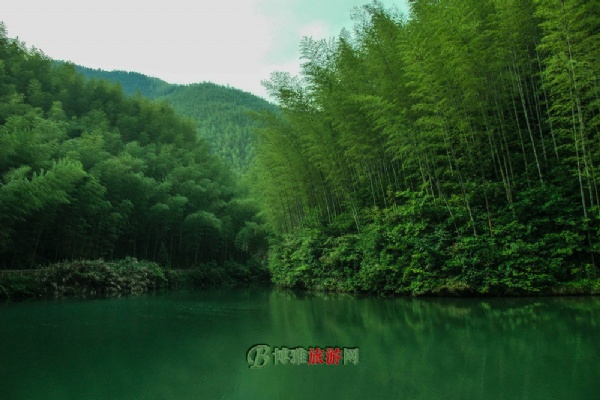 九龙山森林公园