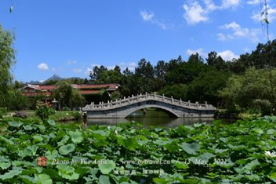 花香田园景区