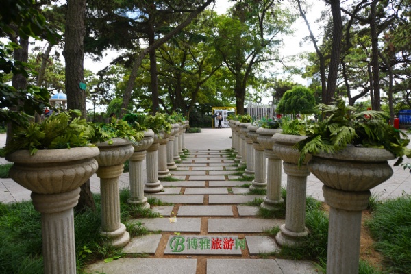 青岛八大关风景区