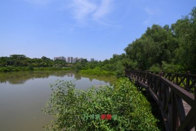若尔盖湿地