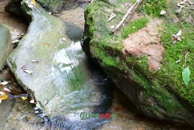 诸龙山森林公园