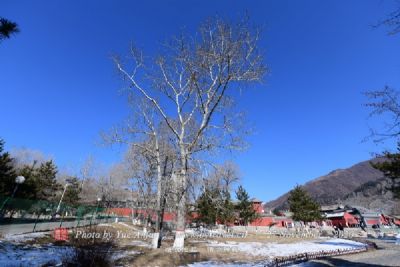 临江寺·川味源