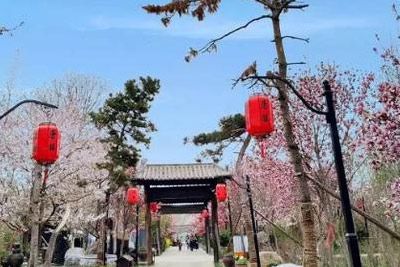 唐韵生态旅游区