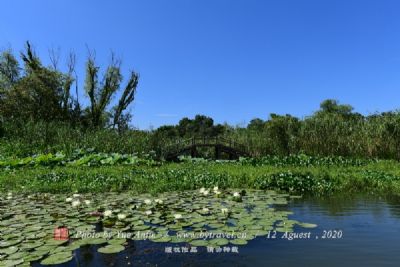 天鹅湖国家城市湿地公园