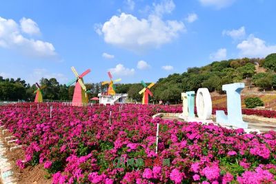 鄢陵国家花木博览园