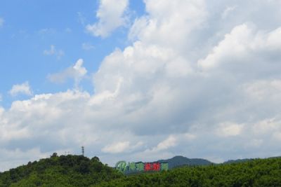 梁堌堆景山遗址