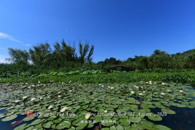 金水湖
