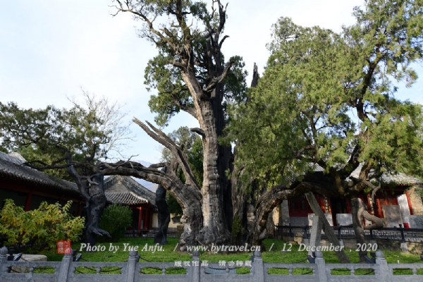 嵩阳书院