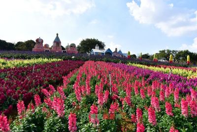 宜君花溪谷景区