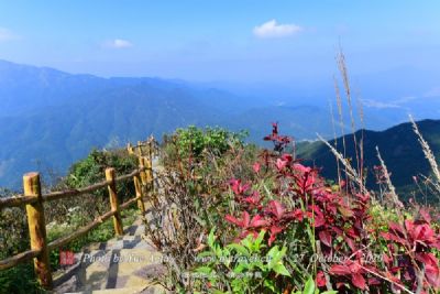 泰山森林温泉旅游区