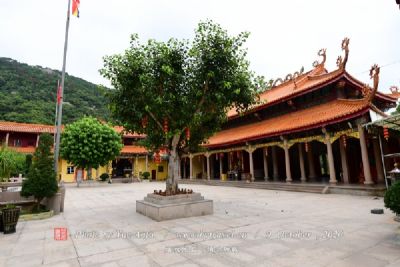苍溪临江寺