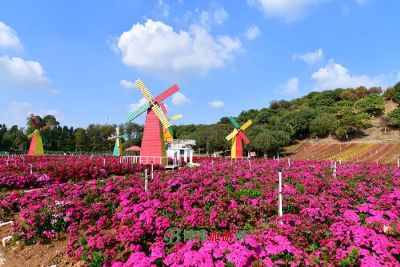 若尔盖花湖生态旅游区