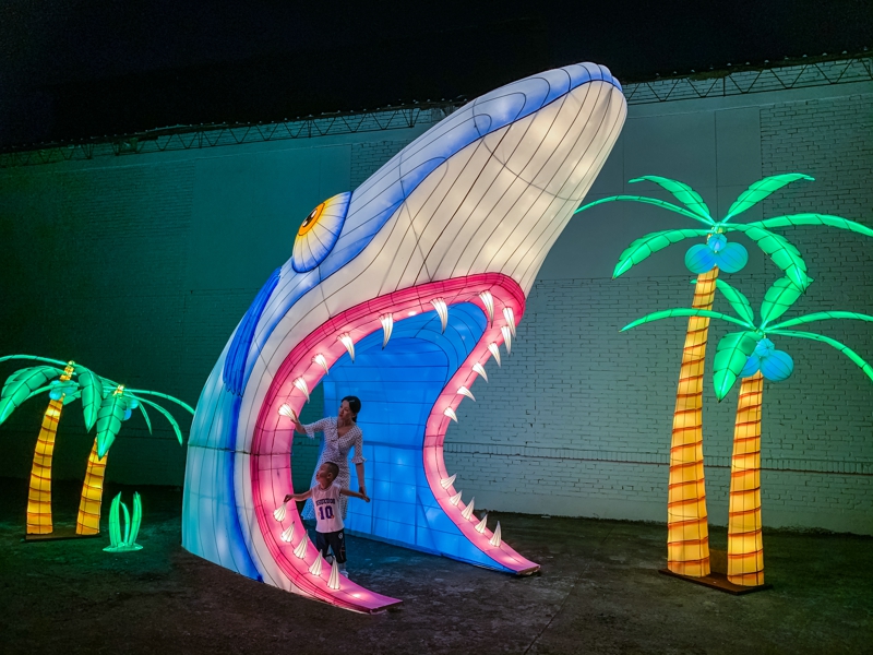 鯨魚