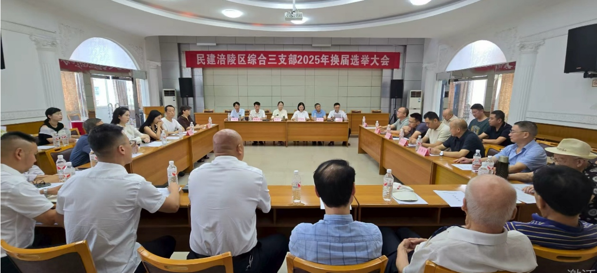 民建涪陵區(qū)綜合三支部順利召開 2025 年換 屆選舉大會