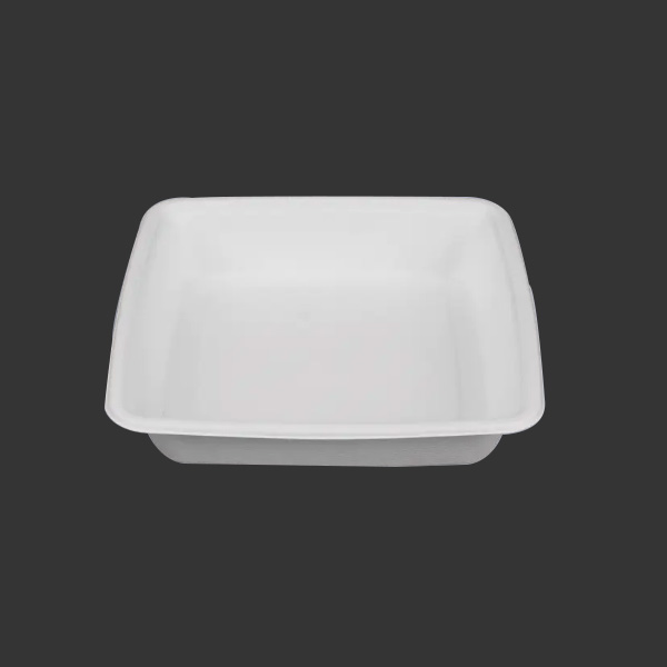 9'' Biodegradable Sugarcane Bagasse Square Trays