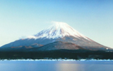 2月8日日本工签项目新单汇总