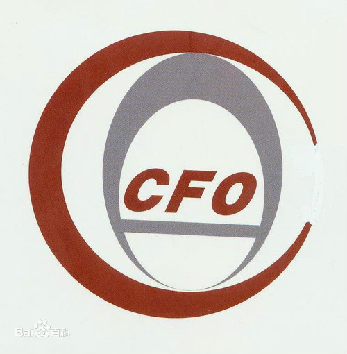 中國總會計師協會 