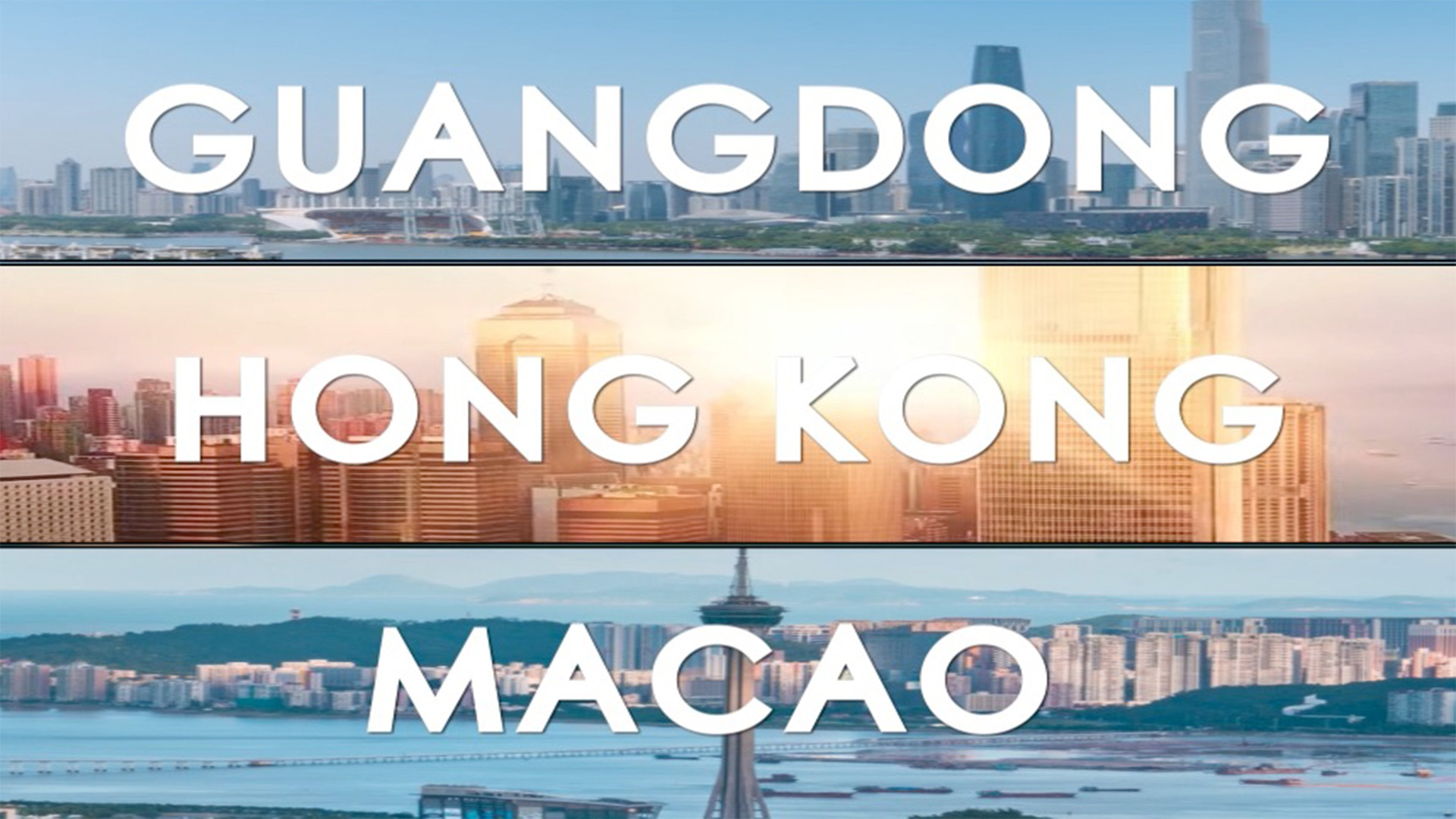 第二届全国人力资源服务业发展大会海外大屏快闪短片