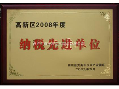 2008納稅先進(jìn)單位