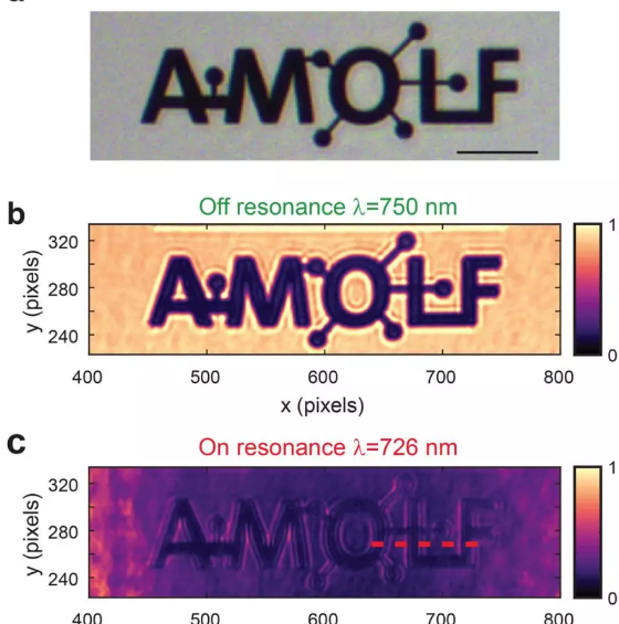 40纳秒完成图像分类，速度提升几十万倍，图像传感器自带神经网络登上Nature