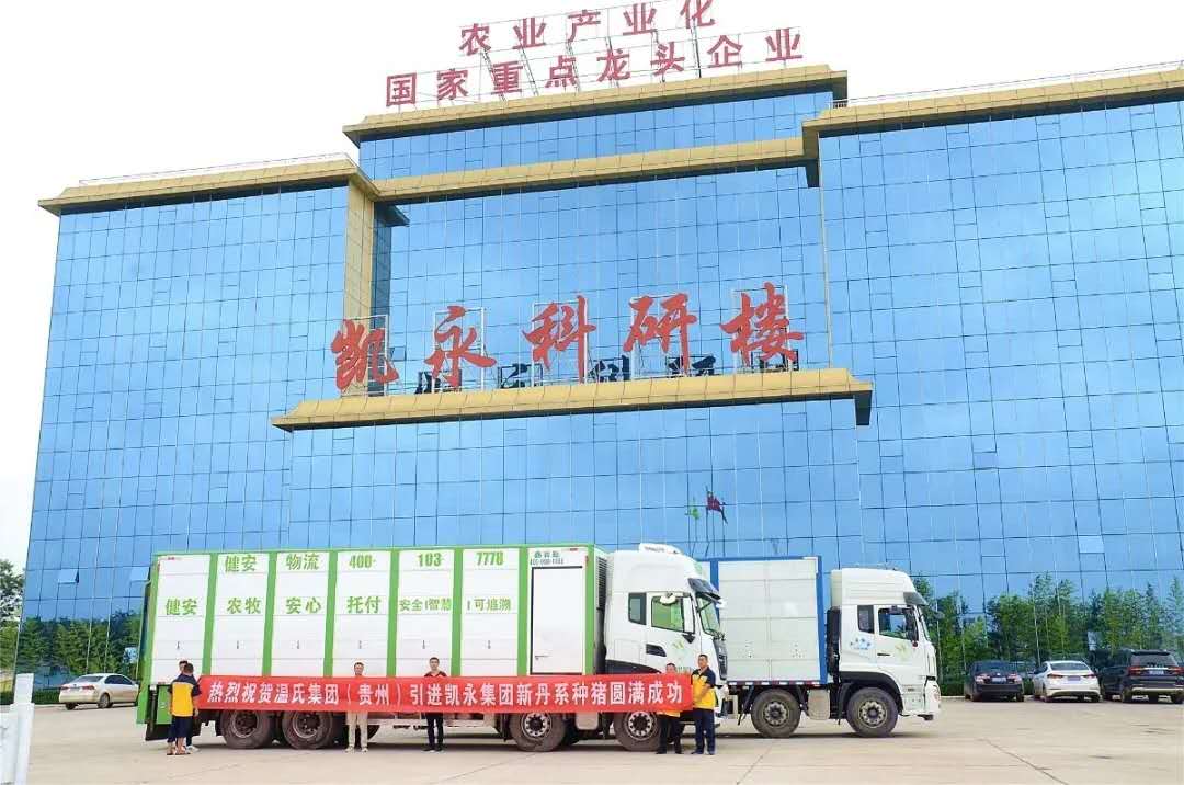 365速发国际(中国)官方网站