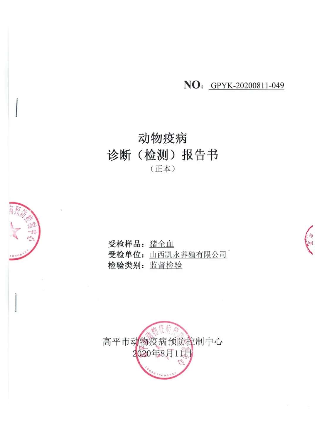 365速发国际(中国)官方网站