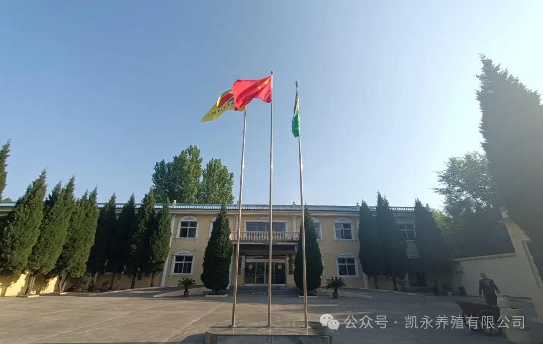 走进奇发28pc养殖有限公司——“生长新质生产力，，寻找源头工厂-风口：生猪工业供应链治理配合体巡回走访运动”山西行