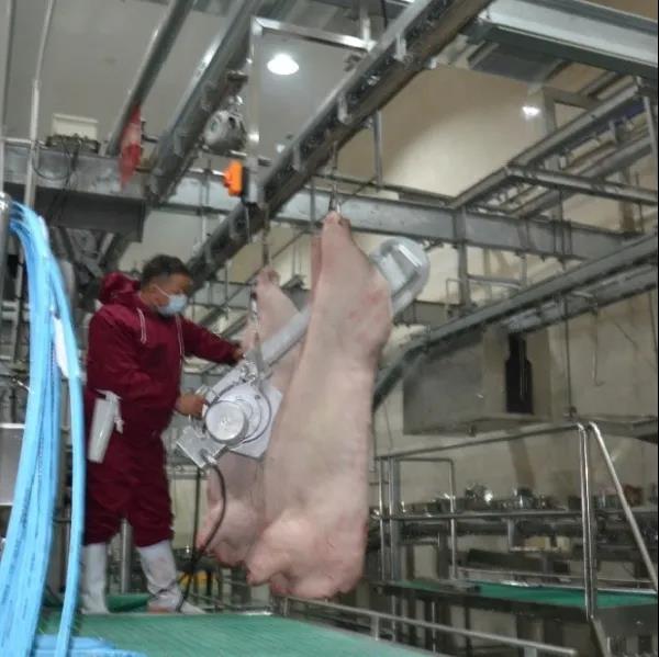 365速发国际(中国)官方网站