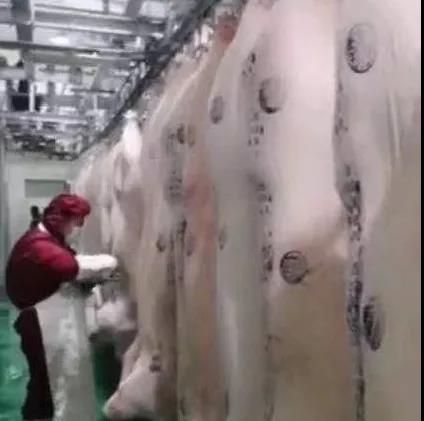 365速发国际(中国)官方网站